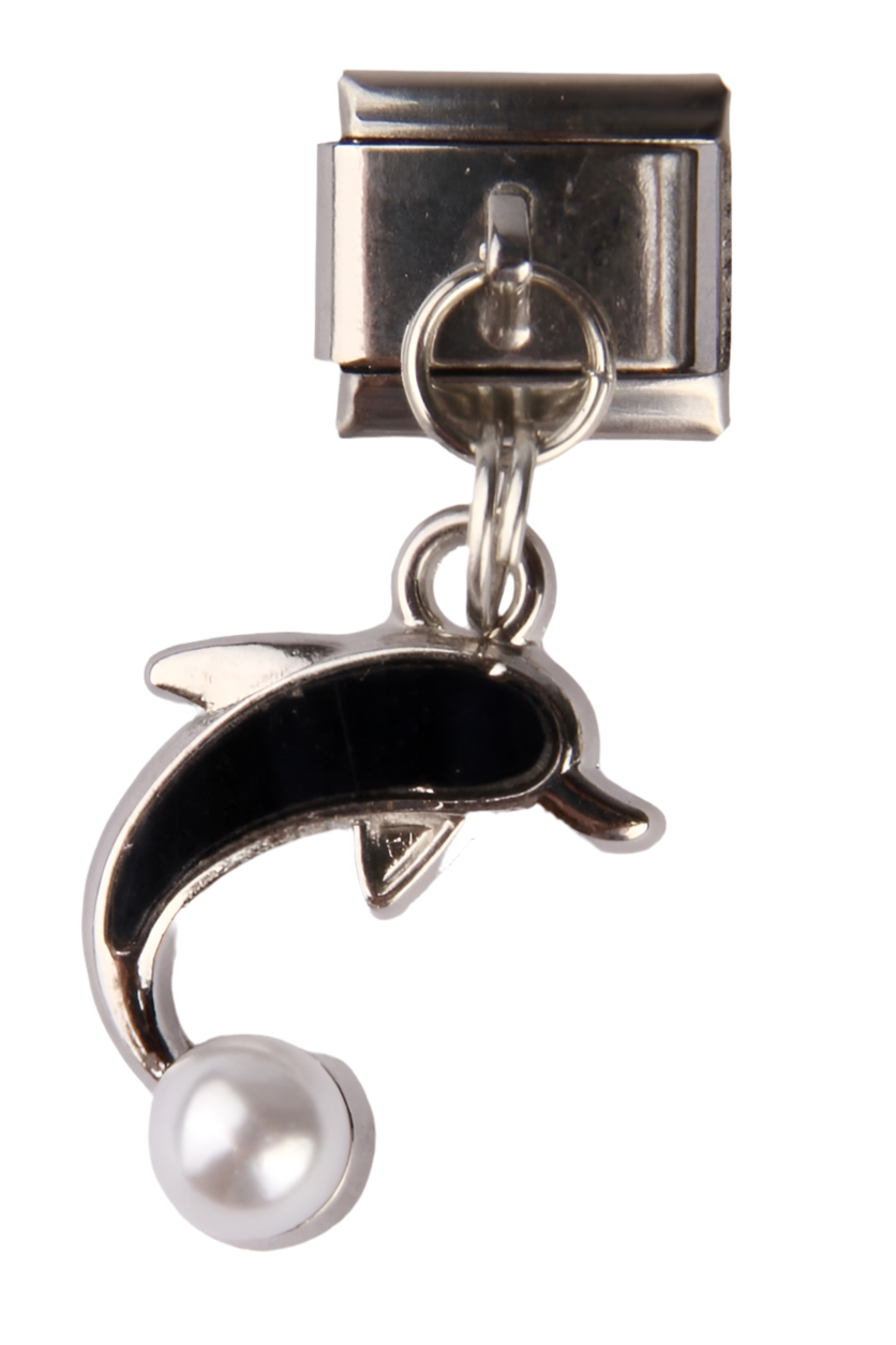 DOLPHIN