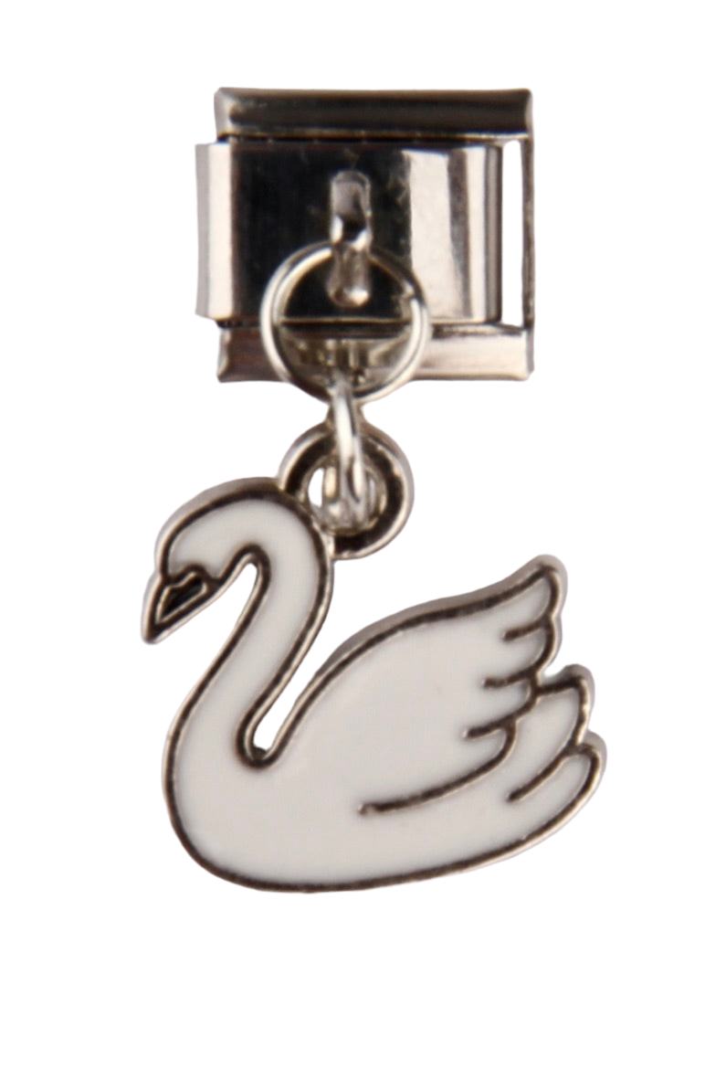 SWAN