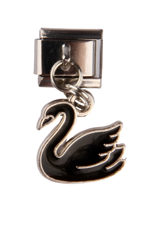 SWAN