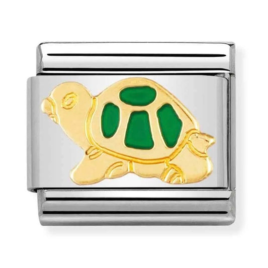 TURTLE